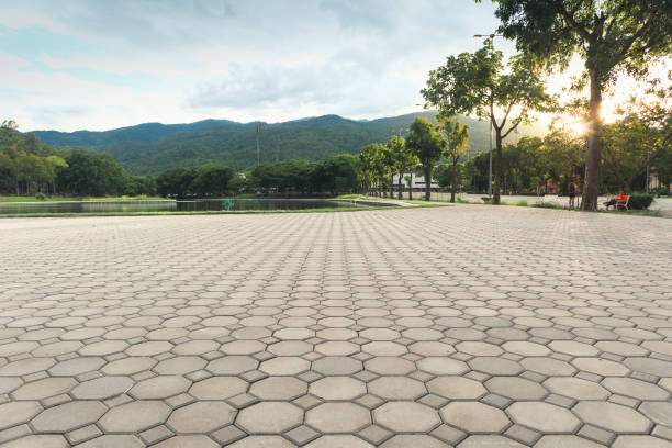 Best Residential Paver Driveway  in Beaver Creek, TX