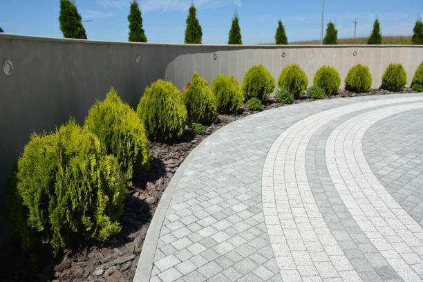 Best Local Driveway Pavers  in Beaver Creek, TX